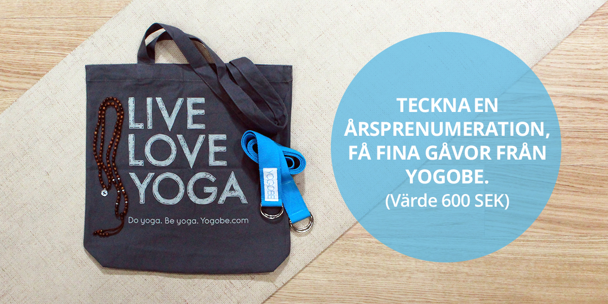 Vårerbjudande: Årsprenumeration